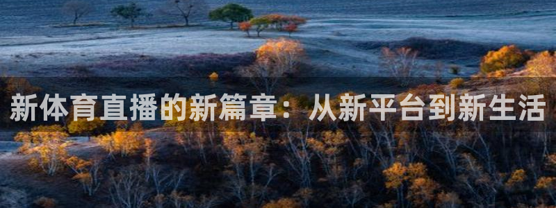 新体育直播的新篇章：从新平台到新生活