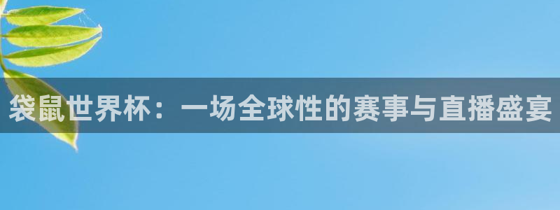 袋鼠世界杯：一场全球性的赛事与直播盛宴