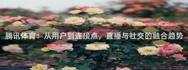 腾讯体育：从用户到连接点，直播与社交的融合趋势