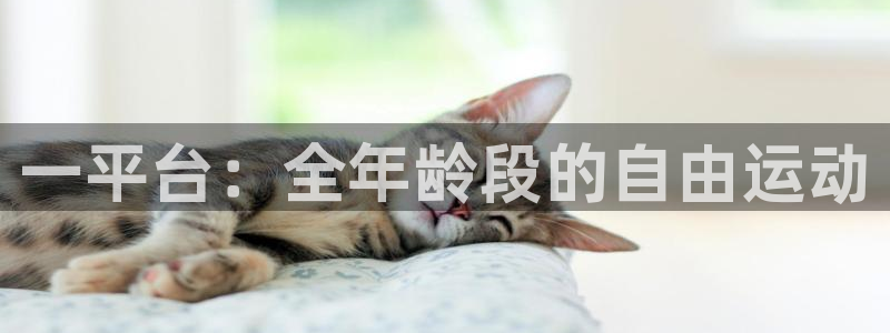 一平台：全年龄段的自由运动
