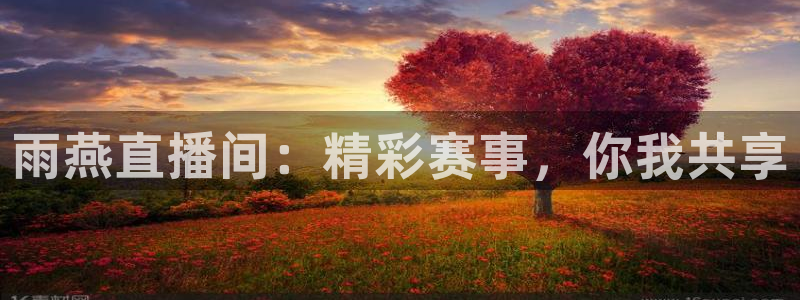雨燕直播间：精彩赛事，你我共享