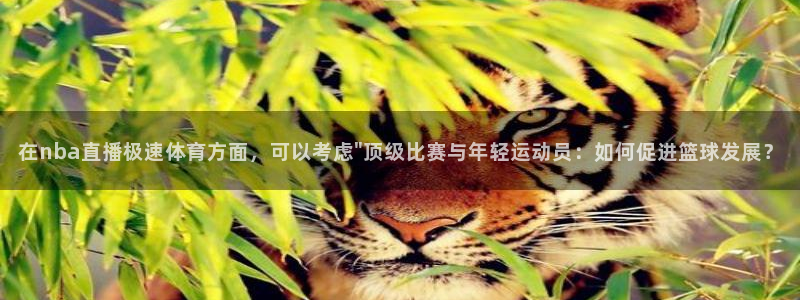 在nba直播极速体育方面，可以考虑\