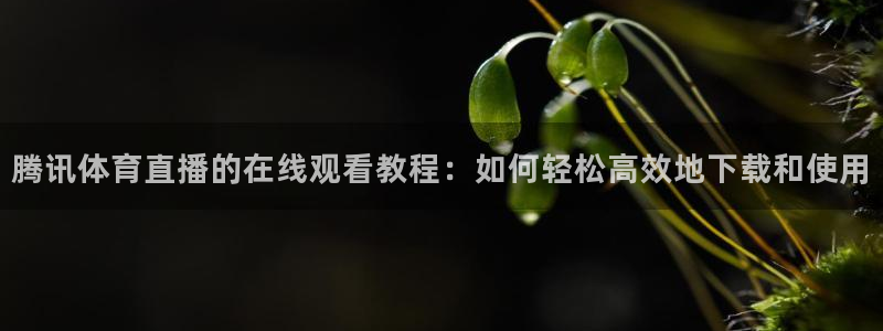腾讯体育直播的在线观看教程：如何轻松高效地下载和使用
