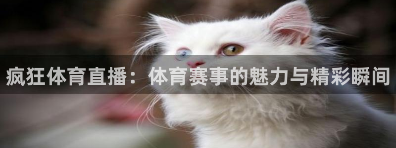 疯狂体育直播：体育赛事的魅力与精彩瞬间
