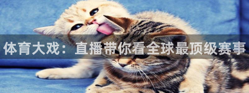 体育大戏：直播带你看全球最顶级赛事