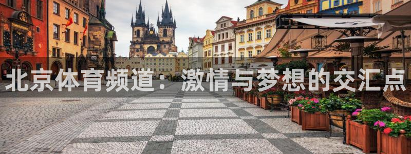 北京体育频道：激情与梦想的交汇点