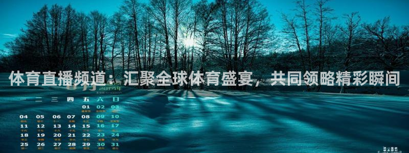 体育直播频道：汇聚全球体育盛宴，共同领略精彩瞬间