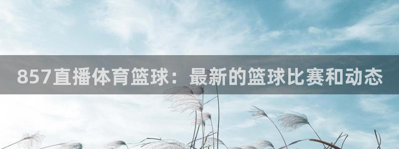 857直播体育篮球：最新的篮球比赛和动态