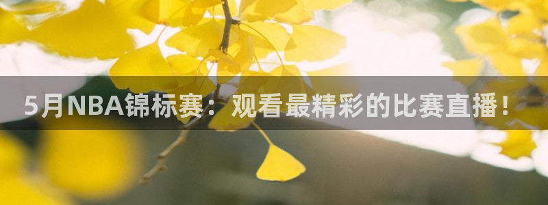 5月NBA锦标赛：观看最精彩的比赛直播！
