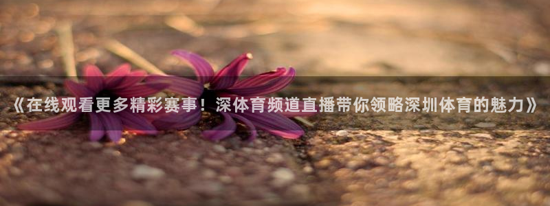 《在线观看更多精彩赛事！深体育频道直播带你领略深圳体育的魅力》