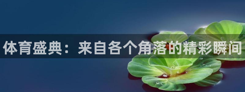 体育盛典：来自各个角落的精彩瞬间