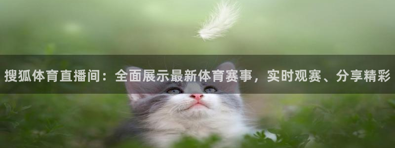 搜狐体育直播间：全面展示最新体育赛事，实时观赛、分享精彩