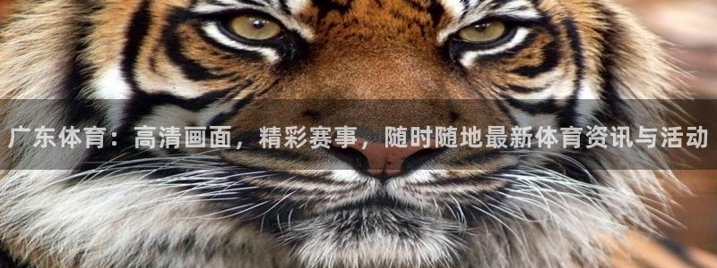 广东体育：高清画面，精彩赛事，随时随地最新体育资讯与活动