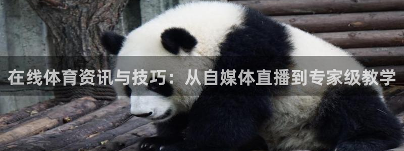 在线体育资讯与技巧：从自媒体直播到专家级教学