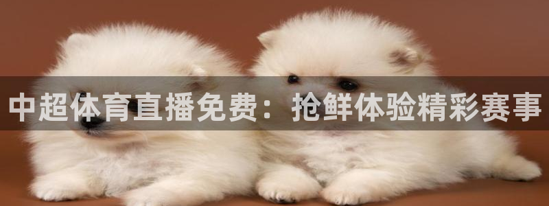 中超体育直播免费：抢鲜体验精彩赛事