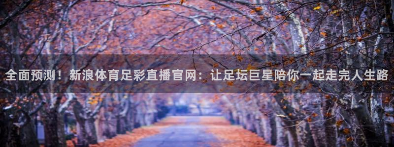 全面预测！新浪体育足彩直播官网：让足坛巨星陪你一起走完人生路