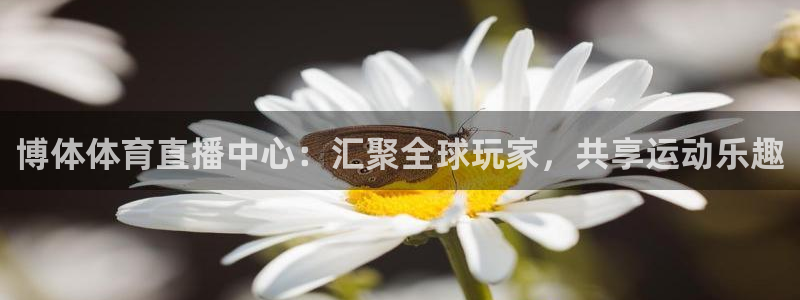 博体体育直播中心：汇聚全球玩家，共享运动乐趣