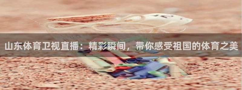 山东体育卫视直播：精彩瞬间，带你感受祖国的体育之美
