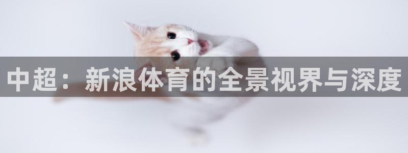 中超：新浪体育的全景视界与深度