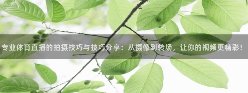 专业体育直播的拍摄技巧与技巧分享：从摄像到转场，让你的视频更精彩！