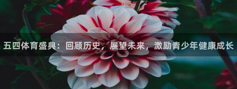 五四体育盛典：回顾历史，展望未来，激励青少年健康成长