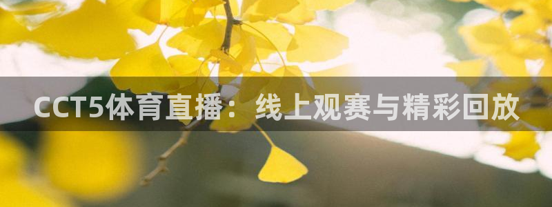 CCT5体育直播：线上观赛与精彩回放