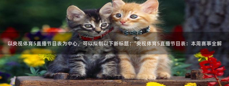 以央视体育5直播节目表为中心，可以拟制以下新标题：\