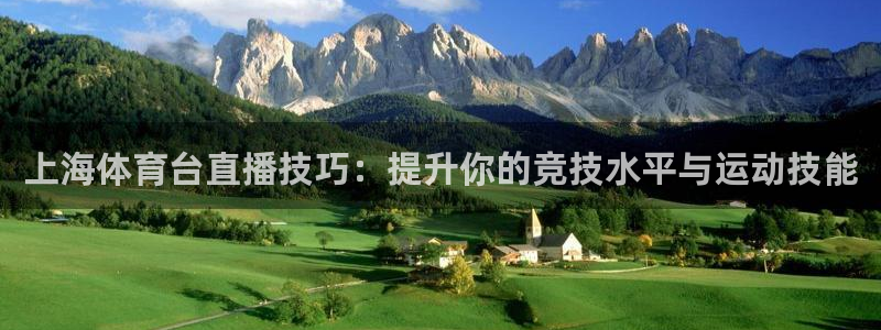上海体育台直播技巧：提升你的竞技水平与运动技能