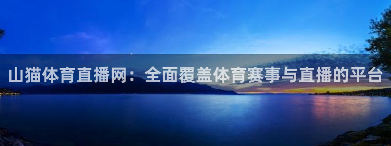 山猫体育直播网：全面覆盖体育赛事与直播的平台