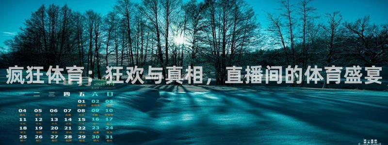 疯狂体育：狂欢与真相，直播间的体育盛宴